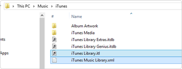 How to delete itunes library and start over